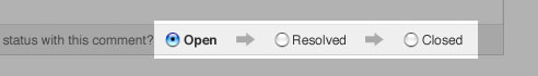 Open -> Resolved -> Closed radio buttons.
